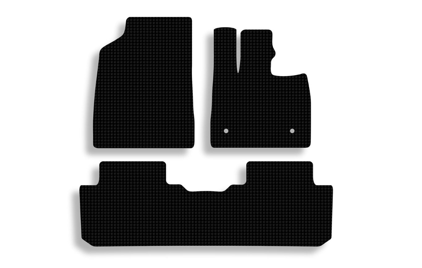 BYD Sealion 6 1st Gen Floor Mats 2025 Coin